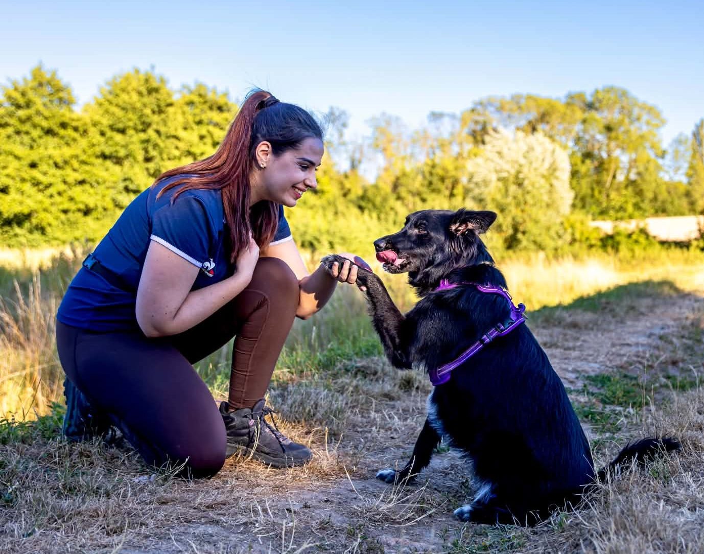 Éducateur canin bienveillant aux alentours de Évry-Courcouronnes avec un chien.