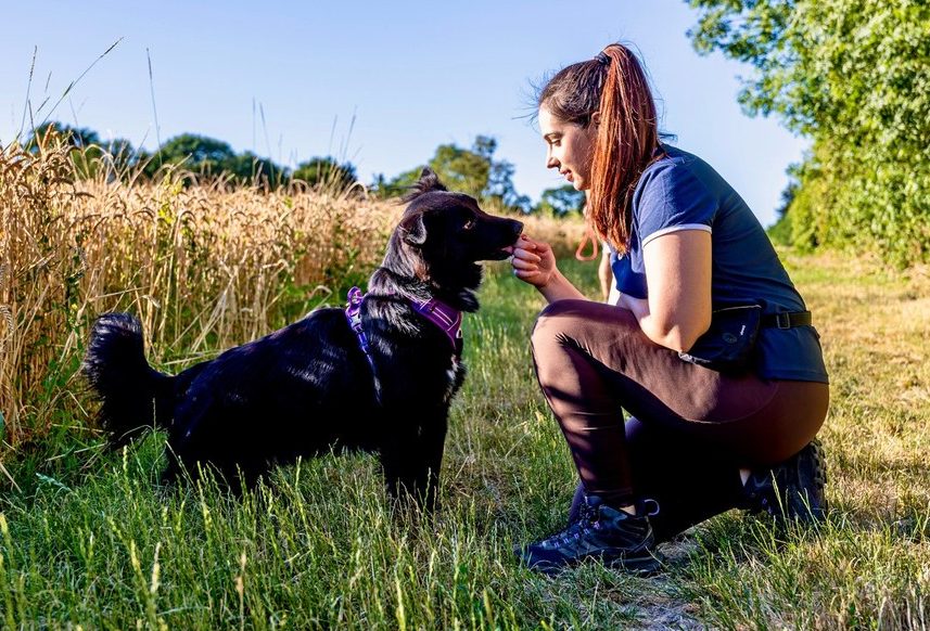 Portrait de Liv', éducateur comportementaliste canin à Évry-Courcouronnes, avec son chien